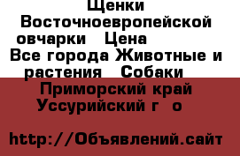 Щенки Восточноевропейской овчарки › Цена ­ 25 000 - Все города Животные и растения » Собаки   . Приморский край,Уссурийский г. о. 